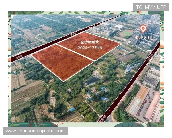 商丘金沙集团官网：了解商丘金沙集团在行业中的市场地位与未来发展战略